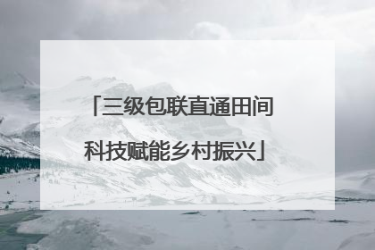 三级包联直通田间 科技赋能乡村振兴