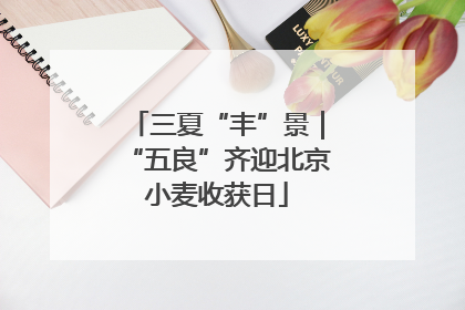 三夏“丰”景｜“五良”齐迎北京小麦收获日