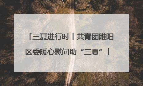三夏进行时丨共青团睢阳区委暖心慰问助“三夏”