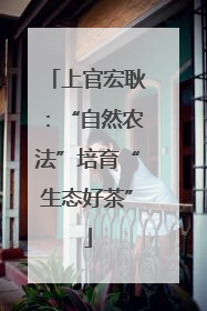 上官宏耿：“自然农法”培育“生态好茶”