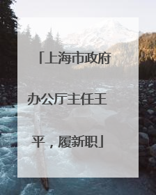 上海市政府办公厅主任王平，履新职