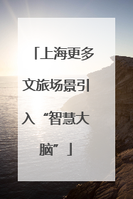 上海更多文旅场景引入“智慧大脑”