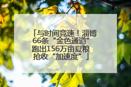与时间竞速！淄博66条“金色通道”跑出156万亩夏粮抢收“加速度”