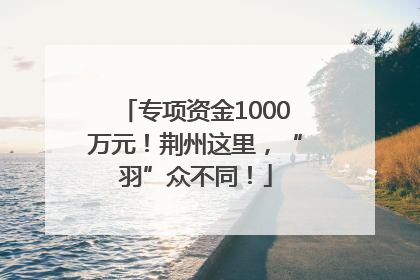 专项资金1000万元！荆州这里，“羽”众不同！