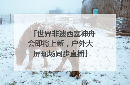 世界非遗西塞神舟会即将上新，户外大屏现场同步直播