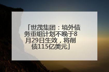 世茂集团：境外债务重组计划不晚于8月29日生效，将削债115亿美元