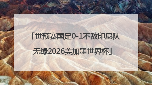 世预赛国足0-1不敌印尼队 无缘2026美加墨世界杯