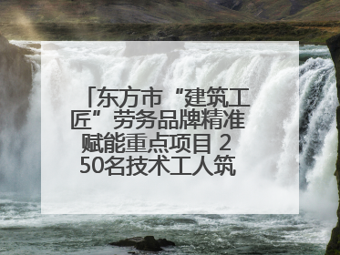 东方市“建筑工匠”劳务品牌精准赋能重点项目 250名技术工人筑牢建设基石
