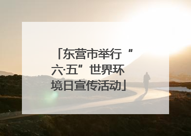 东营市举行“六·五”世界环境日宣传活动