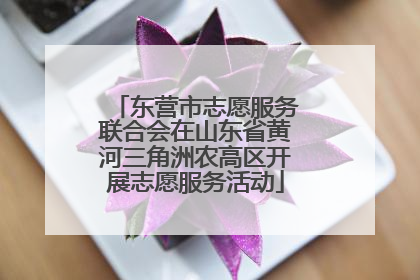 东营市志愿服务联合会在山东省黄河三角洲农高区开展志愿服务活动