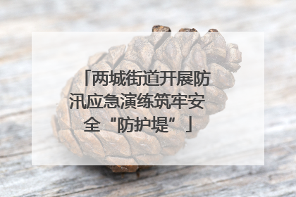 两城街道开展防汛应急演练筑牢安全“防护堤”