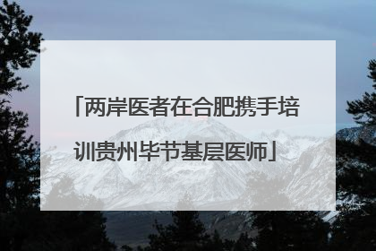 两岸医者在合肥携手培训贵州毕节基层医师