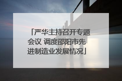 严华主持召开专题会议 调度邵阳市先进制造业发展情况