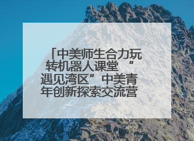 中美师生合力玩转机器人课堂 “遇见湾区”中美青年创新探索交流营在深圳开营