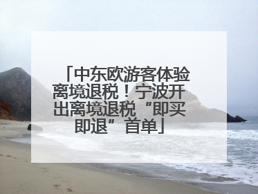 中东欧游客体验离境退税！宁波开出离境退税“即买即退”首单
