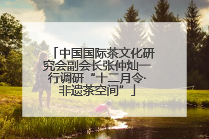 中国国际茶文化研究会副会长张仲灿一行调研“十二月令·非遗茶空间”