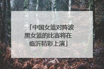 中国女篮对阵波黑女篮的比赛将在临沂精彩上演