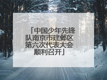 中国少年先锋队南京市建邺区第六次代表大会顺利召开