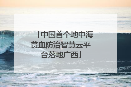中国首个地中海贫血防治智慧云平台落地广西