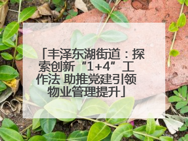 丰泽东湖街道：探索创新“1+4”工作法 助推党建引领物业管理提升