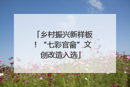 乡村振兴新样板！“七彩官畲”文创改造入选