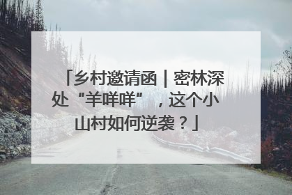 乡村邀请函｜密林深处“羊咩咩”，这个小山村如何逆袭？