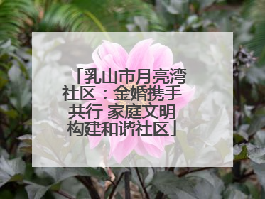 乳山市月亮湾社区：金婚携手共行 家庭文明构建和谐社区