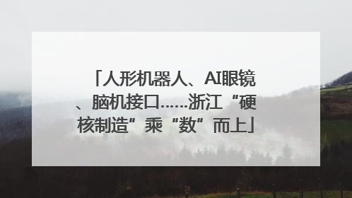 人形机器人、AI眼镜、脑机接口……浙江“硬核制造”乘“数”而上