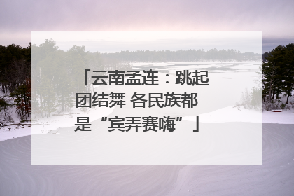 云南孟连：跳起团结舞 各民族都是“宾弄赛嗨”