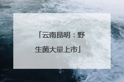 云南昆明：野生菌大量上市