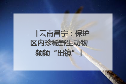 云南昌宁：保护区内珍稀野生动物频频“出镜”