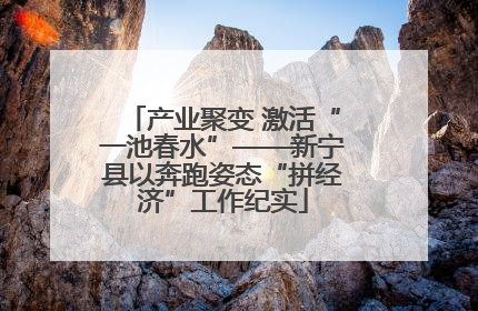 产业聚变 激活“一池春水”——新宁县以奔跑姿态“拼经济”工作纪实