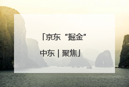 京东“掘金”中东｜聚焦