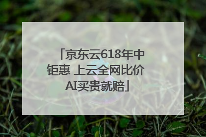 京东云618年中钜惠 上云全网比价 AI买贵就赔