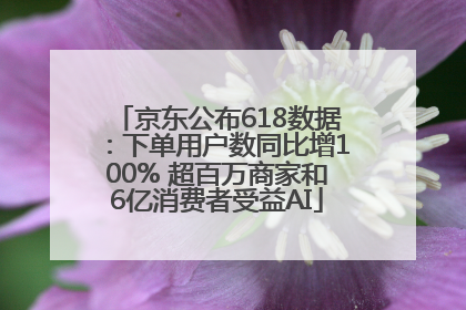 京东公布618数据：下单用户数同比增100% 超百万商家和6亿消费者受益AI