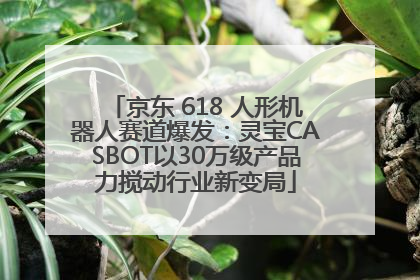 京东 618 人形机器人赛道爆发：灵宝CASBOT以30万级产品力搅动行业新变局