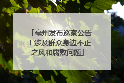 亳州发布巡察公告！涉及群众身边不正之风和腐败问题