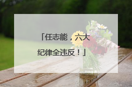 任志能，六大纪律全违反！