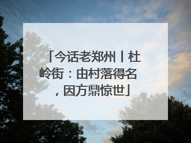 今话老郑州丨杜岭街：由村落得名，因方鼎惊世