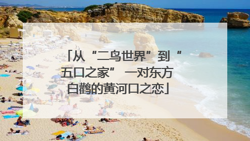 从“二鸟世界”到“五口之家” 一对东方白鹳的黄河口之恋