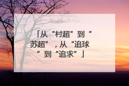 从“村超”到“苏超”，从“追球”到“追求”