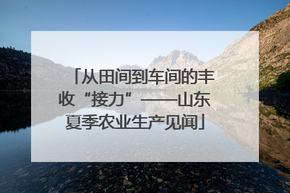 从田间到车间的丰收“接力”——山东夏季农业生产见闻