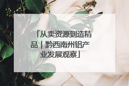 从卖资源到造精品｜黔西南州铝产业发展观察