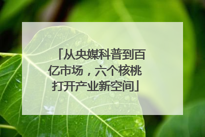 从央媒科普到百亿市场，六个核桃打开产业新空间