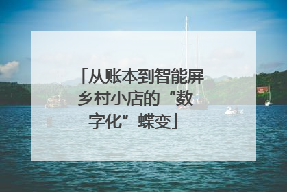 从账本到智能屏 乡村小店的“数字化”蝶变