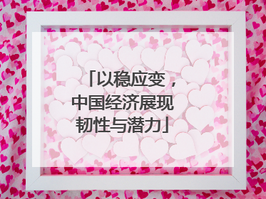 以稳应变，中国经济展现韧性与潜力