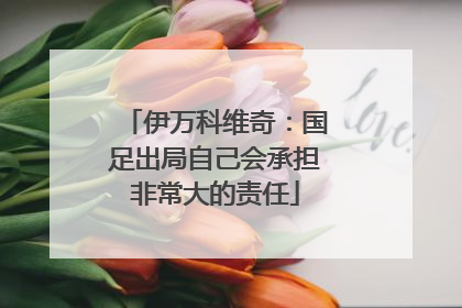 伊万科维奇：国足出局自己会承担非常大的责任