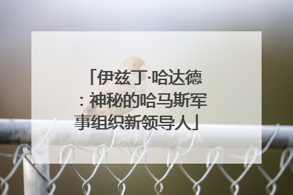 伊兹丁·哈达德：神秘的哈马斯军事组织新领导人