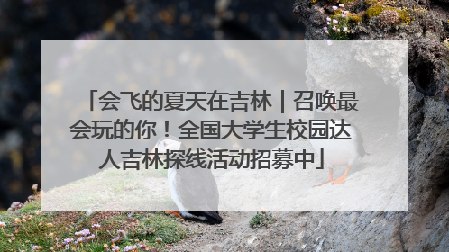 会飞的夏天在吉林｜召唤最会玩的你！全国大学生校园达人吉林探线活动招募中