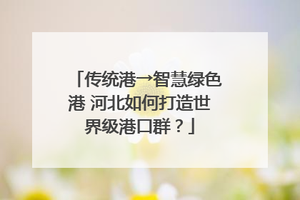 传统港→智慧绿色港 河北如何打造世界级港口群？